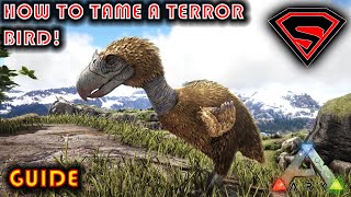 ARK HOW TO TAME A TERROR BIRD 2020 - EVERYTHING YOU  NEED TO KNOW ABOUT TAMING A TERROR BIRD