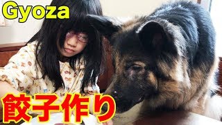 シェパード犬マック君・孫達と餃子作り♪仙台名品はあっと言う間に無くなりますCooking with Dog