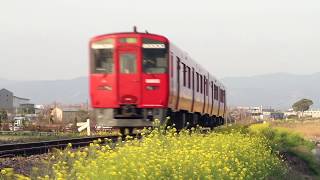 菜の花を揺らしてキハ200が行く（タイフォン吹鳴）~JR Kyushu series Kiha200