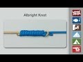 How to Tie an Albright Knot |  Fishing Knots