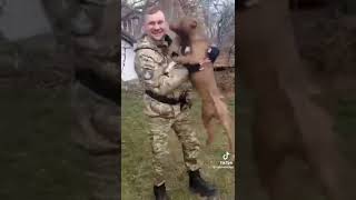 Як собака зустріла свого господаря який пішов на фронт 🥰! Слава Україні! Ми переможемо! Слава ЗСУ🇺🇦!