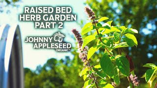Raised Bed Herb Garden Part 2 | Utilizing Unused Space to Grow Herbs