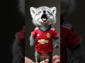 adorable animals representing their teams baby cute viralvideo