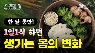 먹고 싶은 거 먹어도 살 빠진다고? 1일 1식 제대로 하는 방법! (폭식주의)