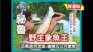 【祕魯】深入祕魯雨林 獵捕 5 公尺象魚｜《世界第一等》314集小馬精華版