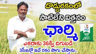 Best Paddy Seed Charmi Variety Farming | 10ఎకరాల్లో ఛార్మి దొడ్డు రకం వరి సాగు | Shiva Agri Clinic