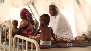 Northeastern Nigeria Faces Famine