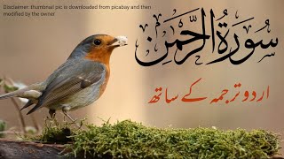 Surah Rehman live Tilawat with Translation | #surahrahman | Eps 11