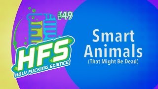 HFS Podcast #49 - Smart Animals (That Might Be Dead)