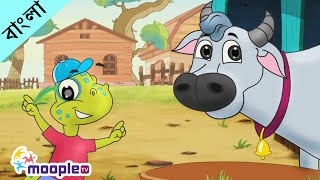 Domestic Animal Rhymes | Cow, Dog, Cat, Sheep, Rabbit | Learn Domestic Animals | Moople TV Bangla