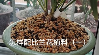 家庭环境养兰花，植料配比从哪方面入手？