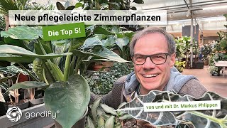 Top 5 – Pflegeleichte Zimmerpflanzen für zuhause | gardify Tipps