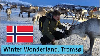 Winter Wonderland: Tromso, Norway