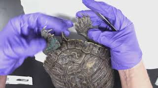 Turtle Part 1 - External Anatomy of a Turtle