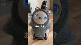 【LOVOT】抱っこおねだりがかわいいロボット #らぼっと  #ラボット