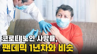 [모닝포커스]코로나 노인 사망률, 팬데믹 1년차와 비슷