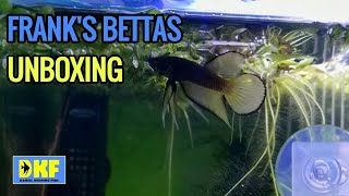 Frank's Bettas Of The Wild Unboxing