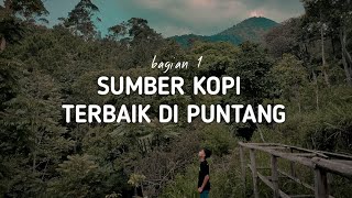 MENYUSURI KEBUN KOPI TERBAIK #1 - Gunung Puntang - #jagakopiindonesia