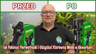 JAK SZYBKO USUNĄĆ MĘTNĄ WODĘ W AKWARIUM? Test Lampy UV INVITAL Mini 5W