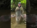 již brzy další díly na patreonu jakubvagner sumec vertikal catfish fishing rybaření