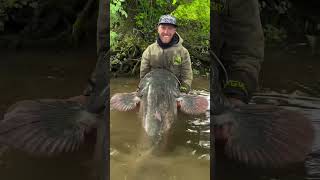 Již brzy další díly na Patreonu   #jakubvagner #sumec #vertikal #catfish #fishing #rybaření