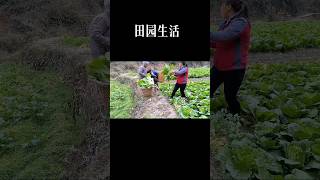 田园生活【贵州小娟】#youtube發燒影片流行榜 ＃農村 ＃农村美食 #田园生活