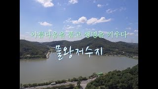 아름다움을 품고 생명을 키우다-물왕저수지