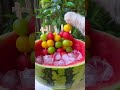 Meow~Super Huge Watermelon Sago Dessert!🍉🍡|ASMR Summer Drinks | Cat Cooking-TikTok #Shorts