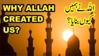 Why Allah Created Us - Allah Nay Hamain Kyun Banaya #Allah #IslamicBayan #Jummabayan #Bayan