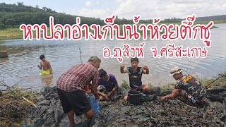 How to catch fish in Thailand Catching fish in Reservoir จับปลายามเยาะ ดูชาวบ้านหาปลาเขื่อนภูสิงห์