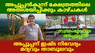 Appupan of Appupankunn loves alcohol and tabulam || Kunnil Appuppan Kshethram || Chithara