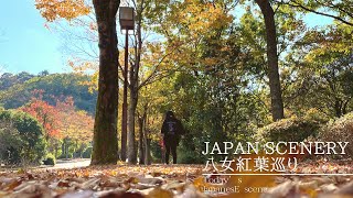 Japanese scenery.紅葉の福岡県八女観光。cafe.