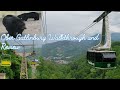 Ober Gatlinburg Walkthrough and Review Wildlife Encounter Chair Lift 2019