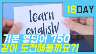 #16일 #영단어750 #왕초보영어 #영어단어외우기 #초급영단어 #기초영단어 #기본영단어