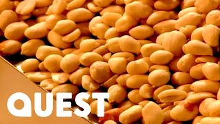 Nuts | How It's Made