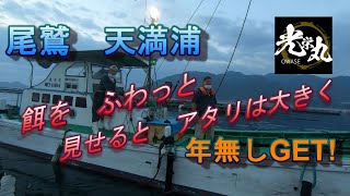 【かかり釣り】尾鷲　天満浦　2022 08_28　光栄丸