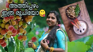 അത്തിപ്പഴം special cooking/ അത്തിപ്പഴം Juice/cooking video/ അത്തിപ്പഴം ഇത്ര രുചിയിയിലോ/