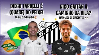 SANTOS ENCAMINHA CONTRATAÇÃO DO TARDELLI! / SANTOS INICIA CONVERSAS COM NICO GAITÁN!