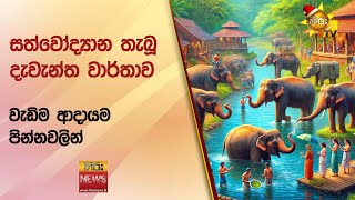 සත්වෝද්‍යාන තැබූ දැවැන්ත වාර්තාව - වැඩිම ආදායම පින්නවලින්  - Hiru News