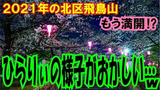 渋沢栄一翁の邸宅がある飛鳥山の桜の状況【ひらりぃの様子が…】