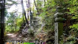 B007【世界遺産 和歌山】高野山町石道7＜97町石～61町石＞