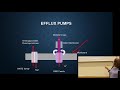 11-ABR mechanisms: target modification and efflux