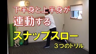 【再アップ】身体が連動するスナップスロー３つの練習法｜野球肩野球肘　京都市北区　MORIピッチングラボ