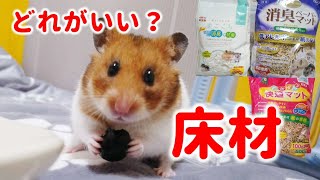 【ハムスターの床材】結局なにを使えばいいの？