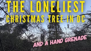 The Loneliest Christmas Tree in Washington...and a hand grenade.