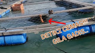 vlog#325 PORT PERTAMA LEMPAR UMPAN TERUS STRIKE..TEKONG  X DAN NAK SETUP LG PADU #sangkarsgudang