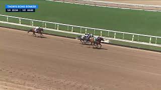 2026 $100,000 Thor’s Echo Stakes at Santa Anita