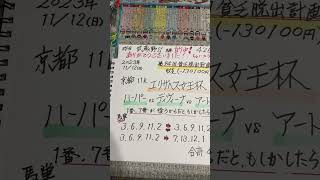 【競馬予想】京都11R エリザベス女王杯🏇武蔵野S的中🎯ありがとう😭