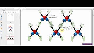 Physiology - Chemical structure of water (تركيب و خصائص الماء)