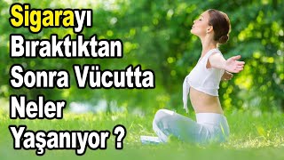 Sigarayı Bıraktıktan Sonra Vücutta Neler Yaşanıyor?